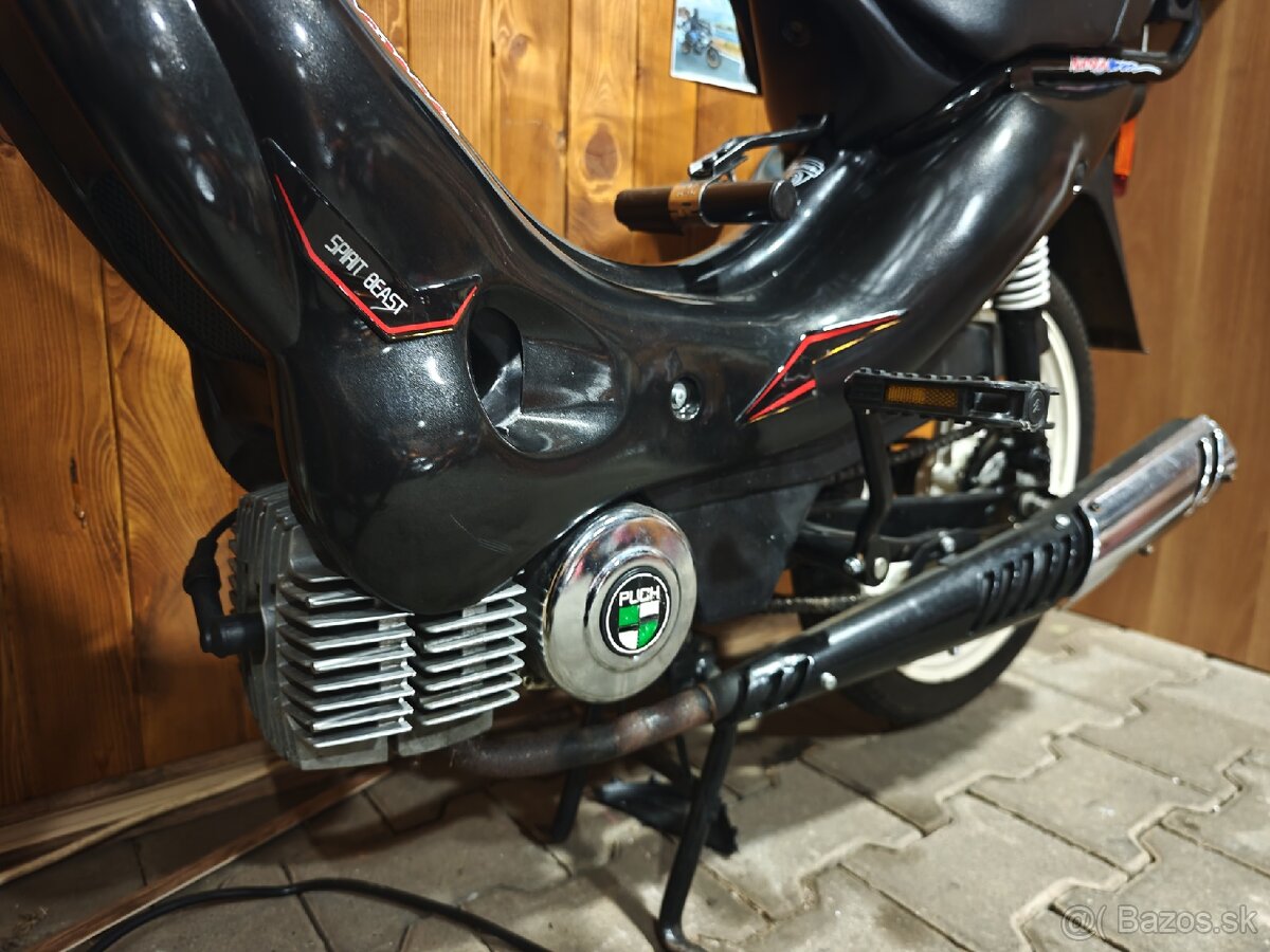 Top manet Korado - 2