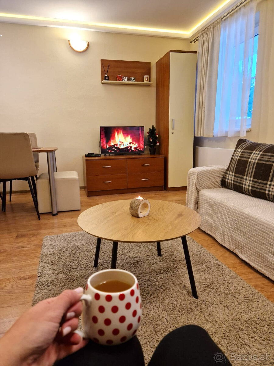 TOP cena 2-izbový BYT na PREDAJ vedla Donovalkova , s park - 2