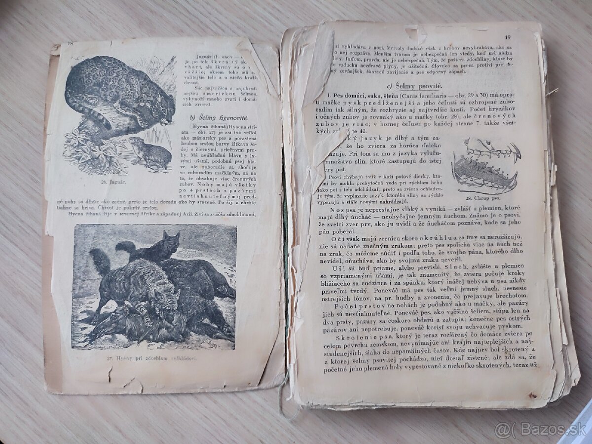 Stará učebnica Živočíchopis - 2