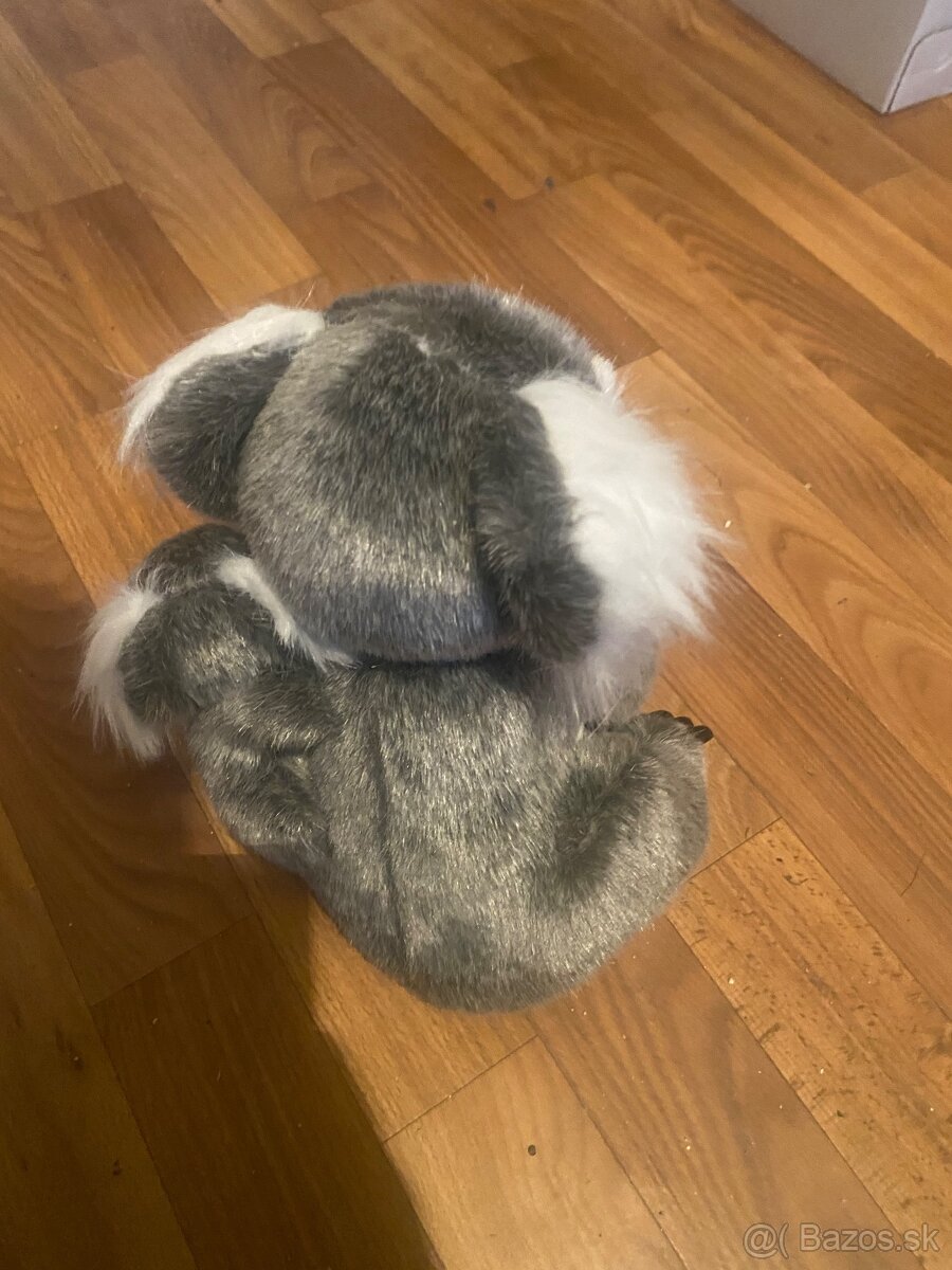 koala plysova z australie - 2