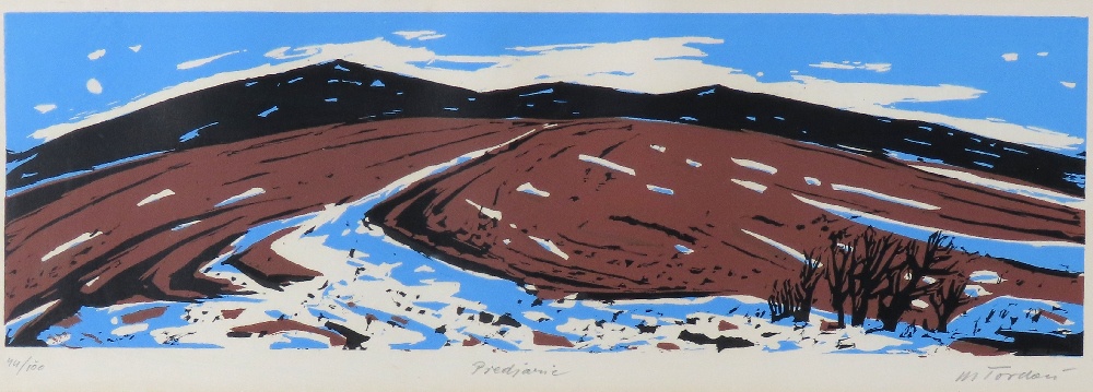 Martin Tvrdoň - Predjarie - 2