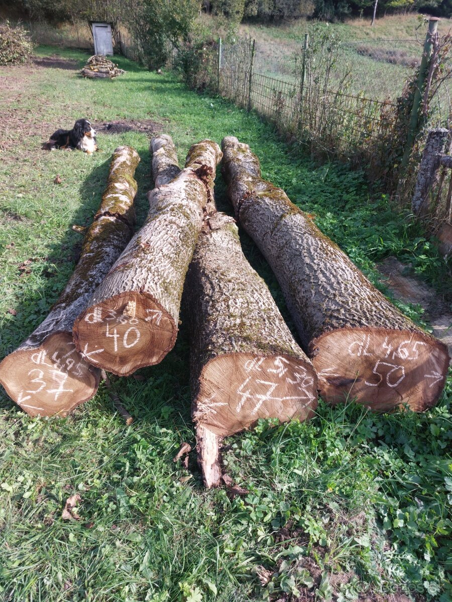 Predám orechové drevo - 2