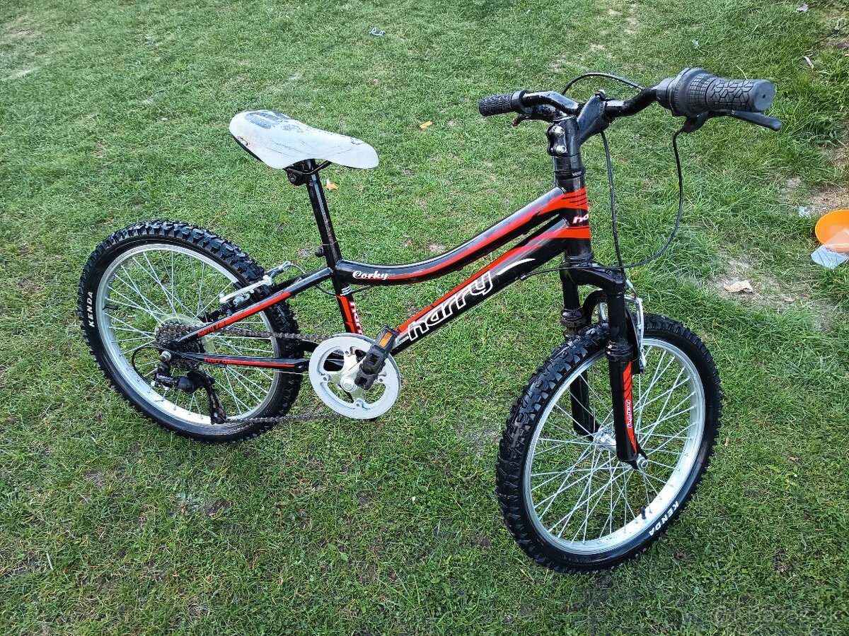 Detský bycikel Harry 20 - 2