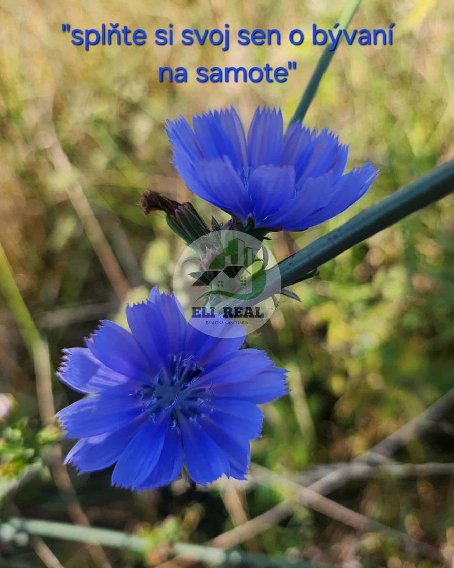 Na predaj pozemok Jozefova Pusta, Slanské Nové Mesto - 2