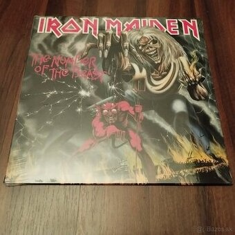Metal CD,LP Iron Maiden,Evanescence,Motörhead aj iné - 2