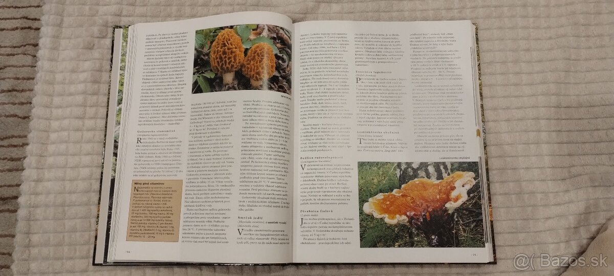 Veľka encyklopedia hub - 2