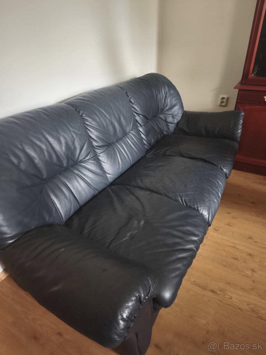 Kožená sedačka - 2