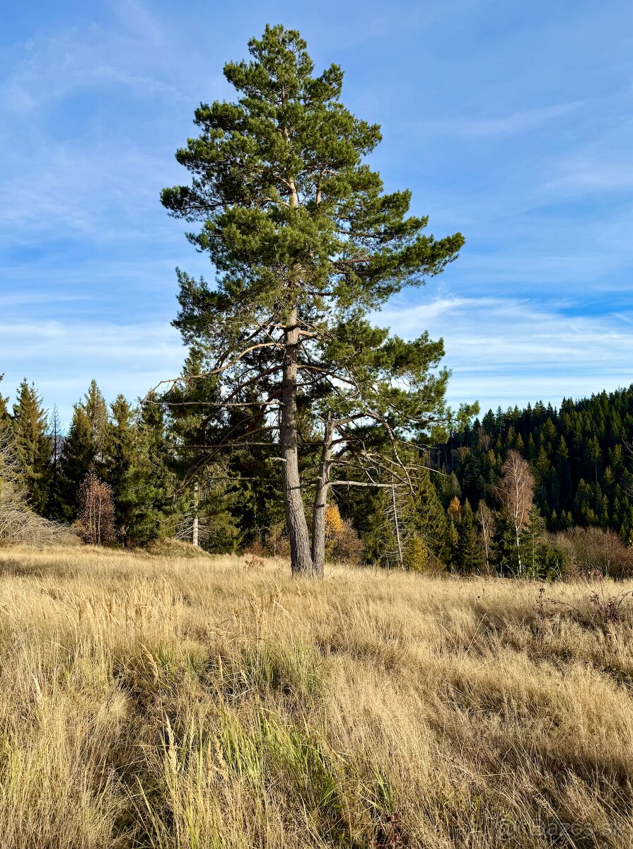 Veľký STAVEBNÝ Pozemok 2,75 HEKTÁR zo Stavebným Povolením L - 2