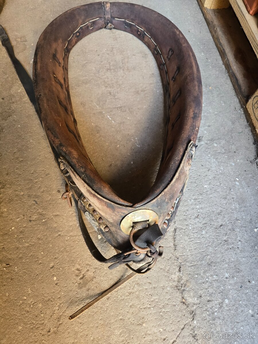 Staré chomúty - 2