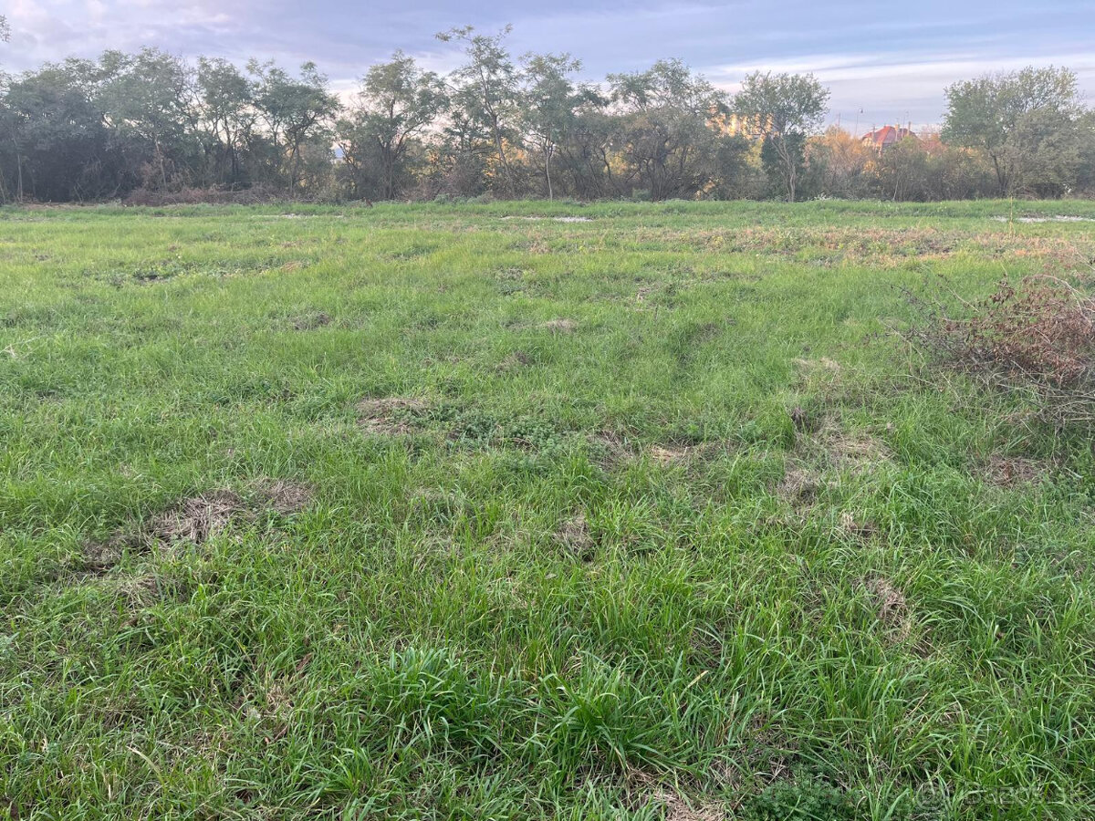 Stavebný pozemok - Čaňa, Košice - okolie - 2