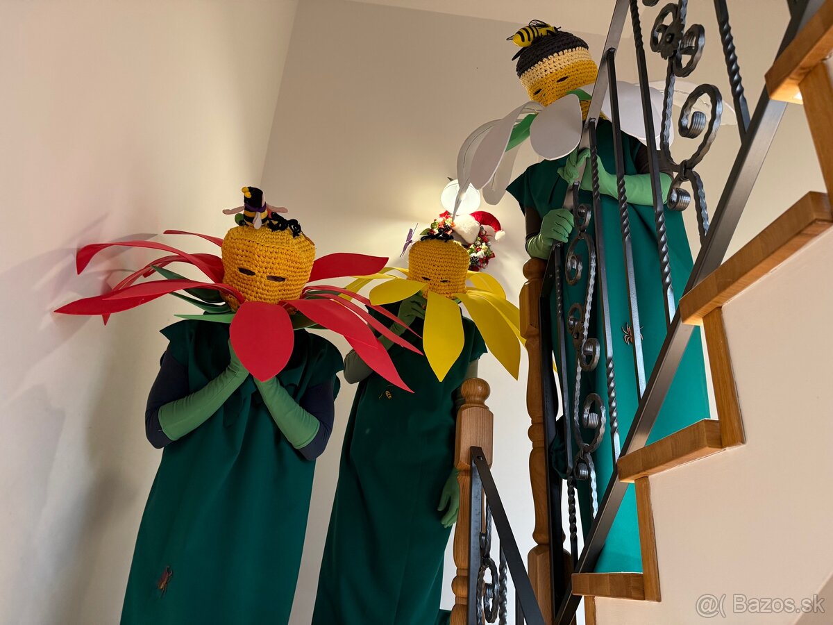 Kasnevalovy kostym - 2