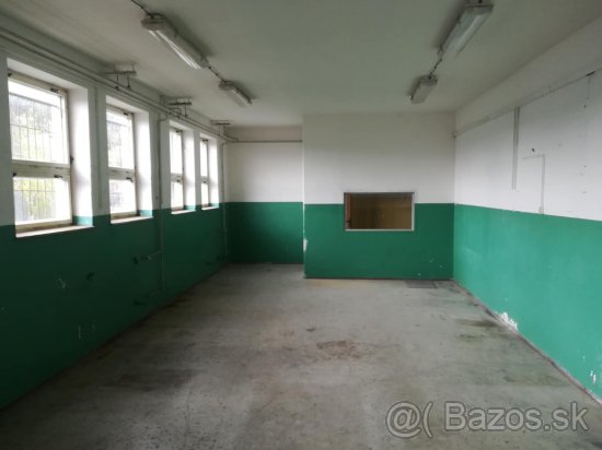 Napenájom sklad, dielňa, prevádzka, výroba v areáli v ZV - 2