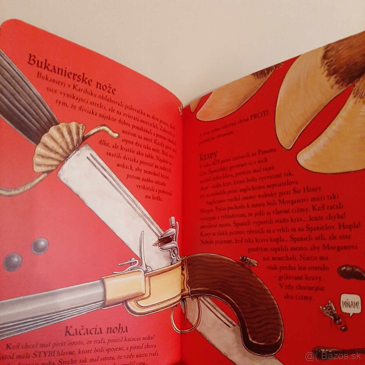 Hrôzostrašná História - Piráti - Terry Deary - 2