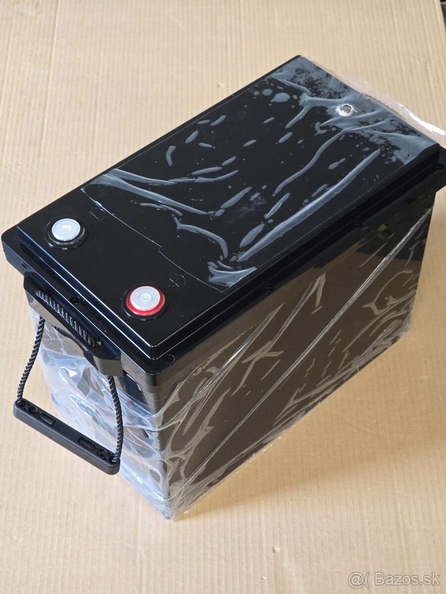 Predam LiFePo4 12.8V 314Ah 200A - 2