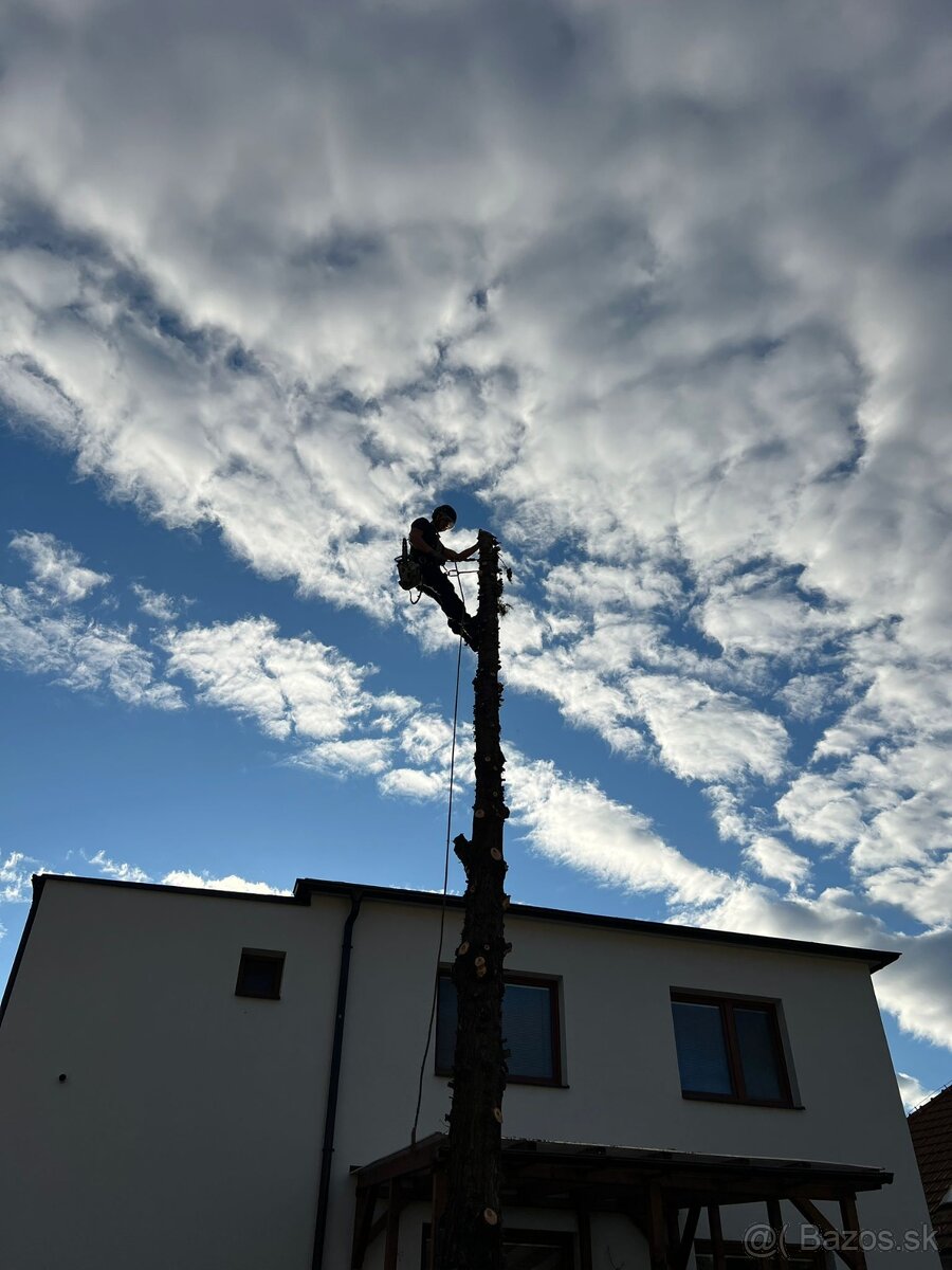 Pílenie stromov, arboristika, výrub stromov, orez stromov - 2