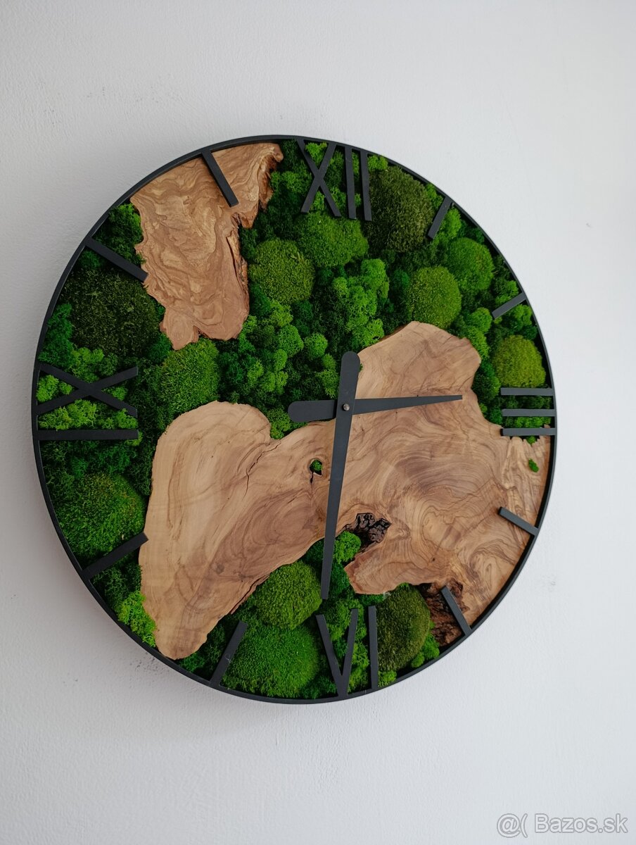 Machové hodiny OLIVA - 2