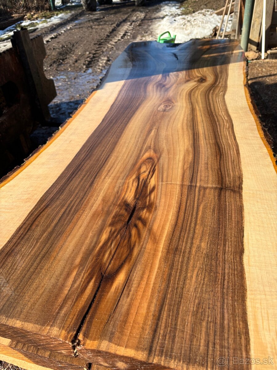 Rezivo Orech Orechové Drevo Kmene - 2