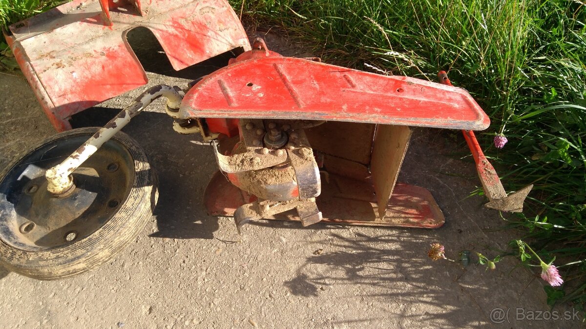 Medziriadkový kyprič Vari - 2