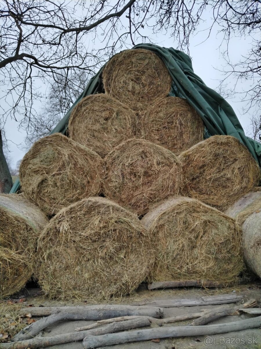 Seno na predaj - 2