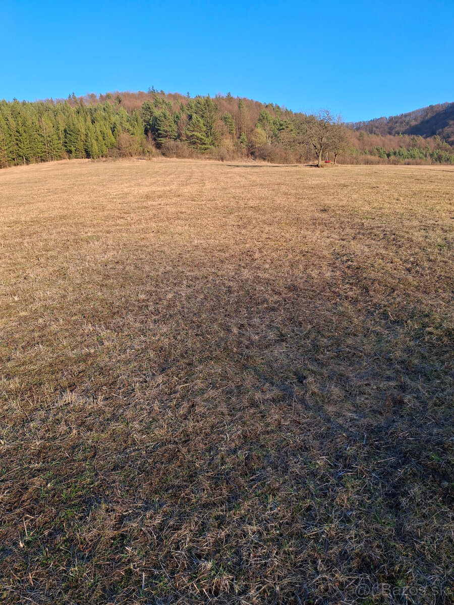Predaj orná pôda Bodiná 3830 m2 - 2
