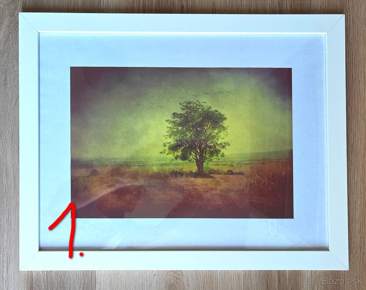 Vitrina a obrazy TOPOĽČIAN - 2