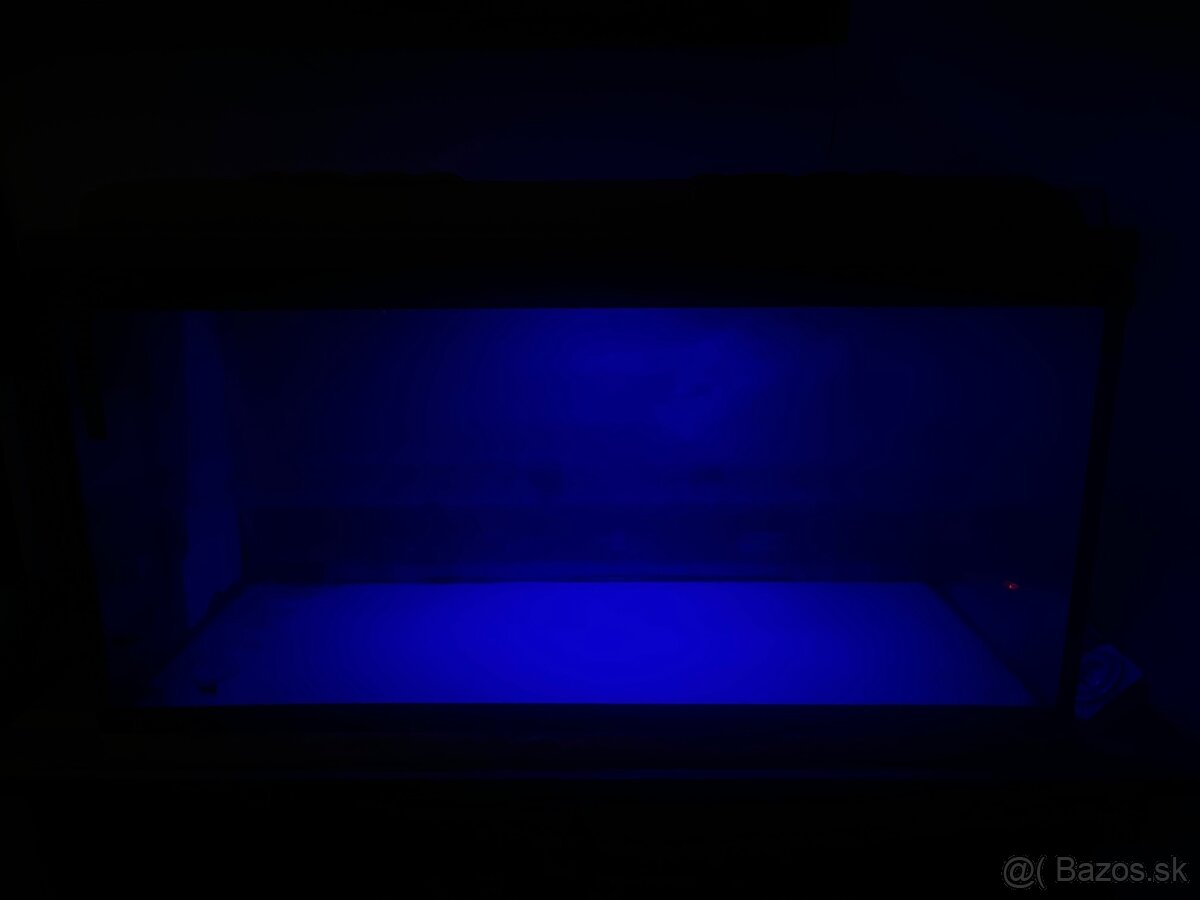 Akvárium - 2