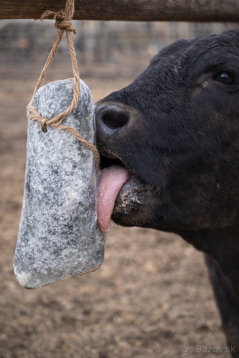 Kŕmná soľ 50 kg balenie - 2