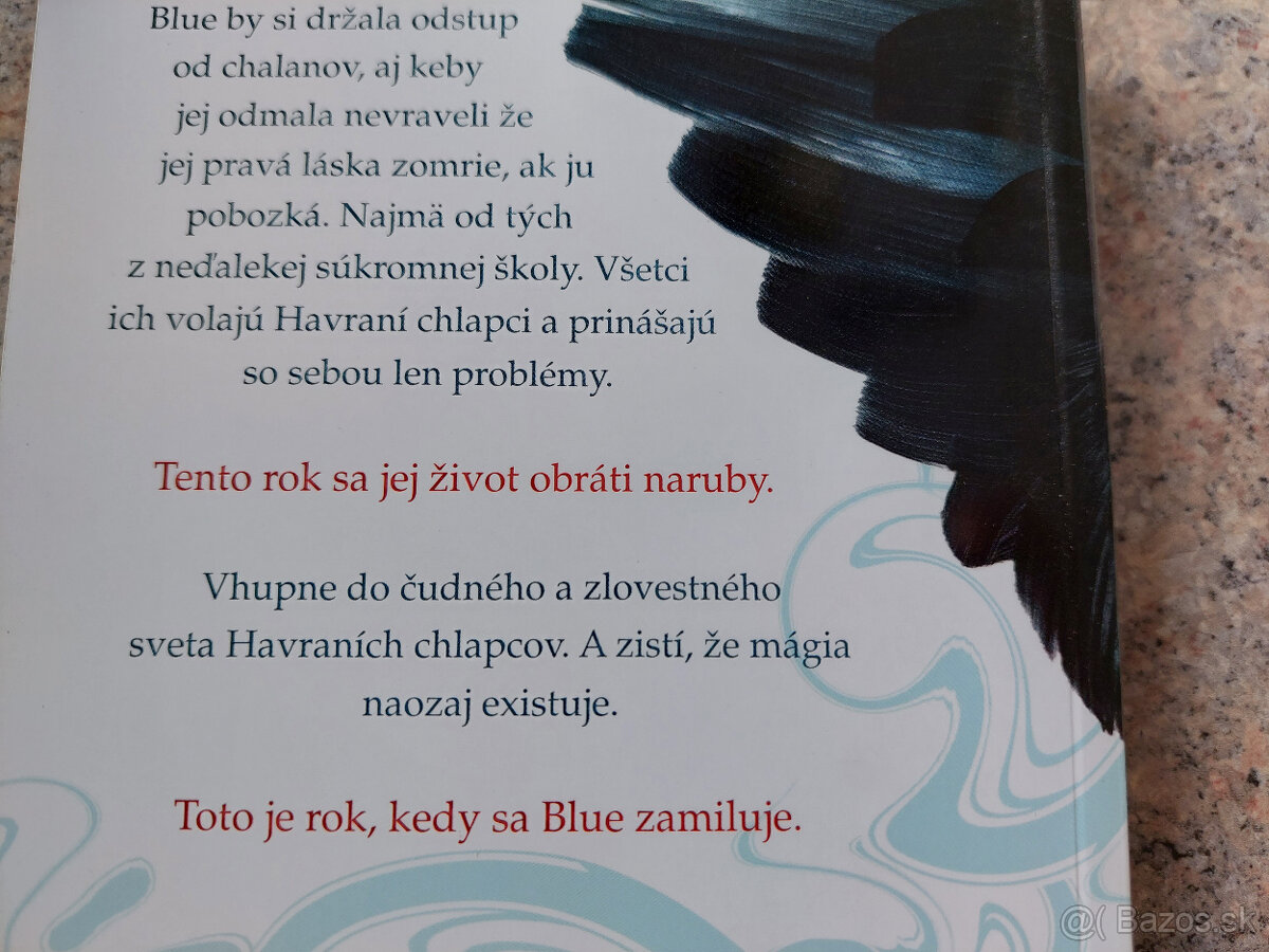 Havraní chlapci - Maggie Stiefvater - 2