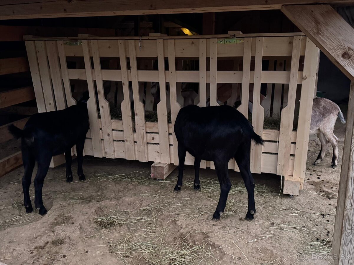 Krmelec,zásobník na seno pre kozy a ovce - 2