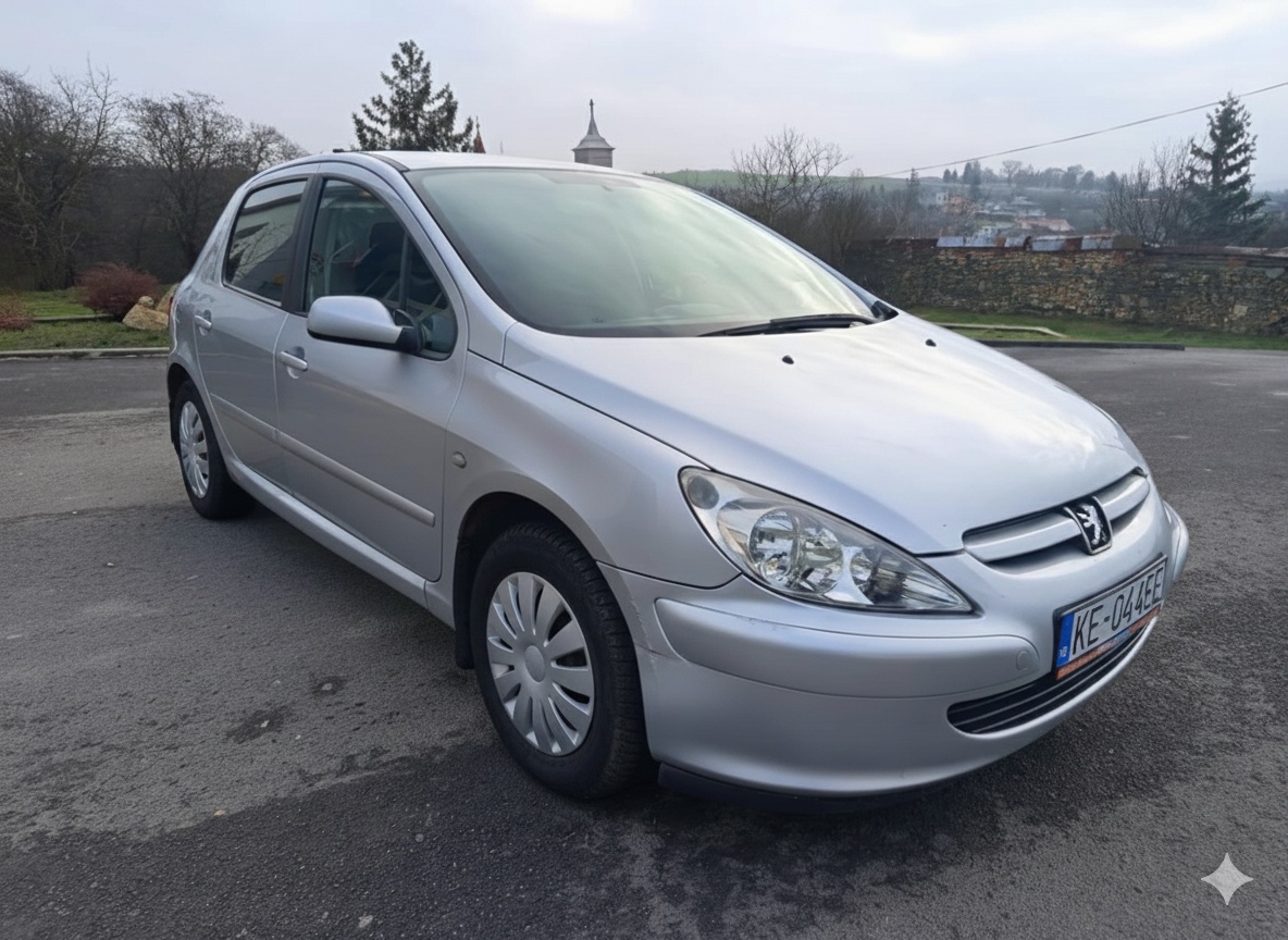 Peugeot 307 1.4i 16V 65 kw - 2