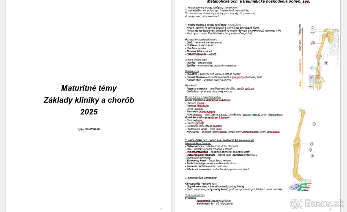 Vypracované maturitné témy 2025, Zkc, Sj+Lit - 2