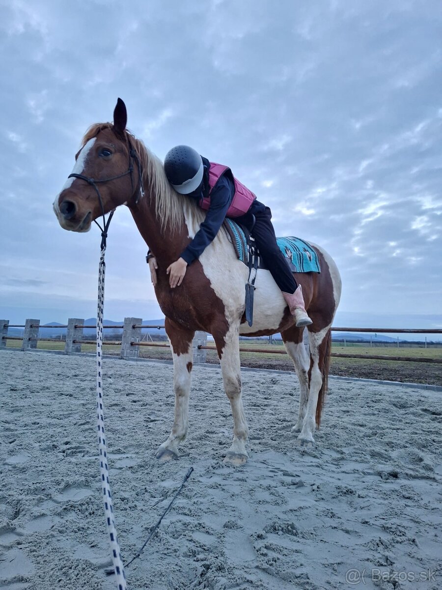 🐎 Jazdenie na koni – Červeny Dvor - 2