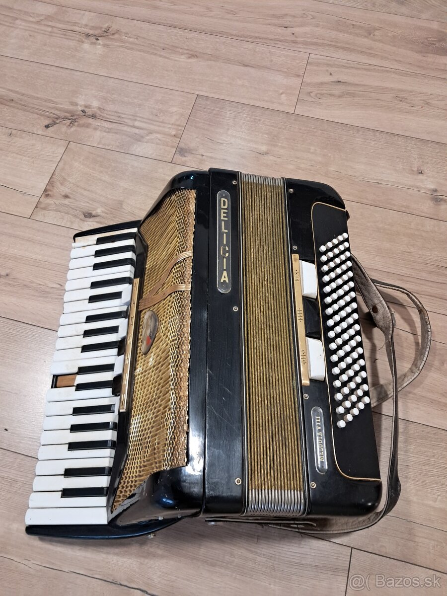 Akordeón Delicia - 2
