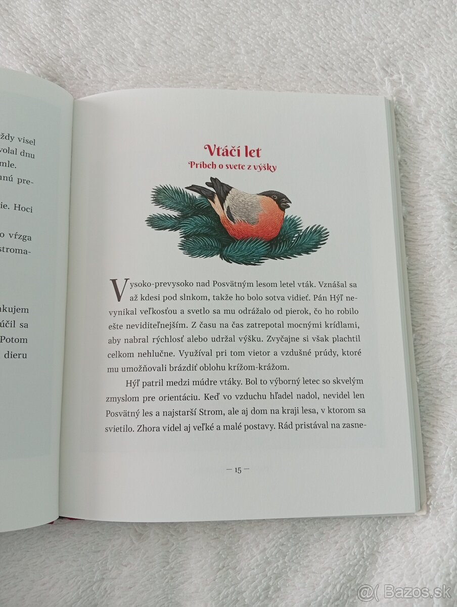 Čarovné vianočné príbehy - 2