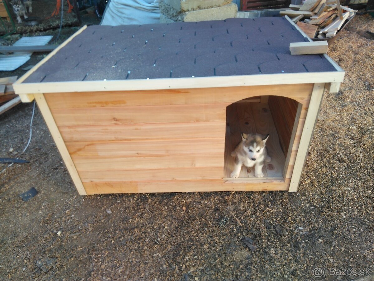 Buda pre psa ECO - 2