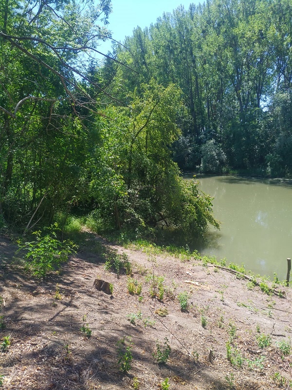 ID 2506 - Pozemok zo stavebným povolením (51,90 €/m2) - 2