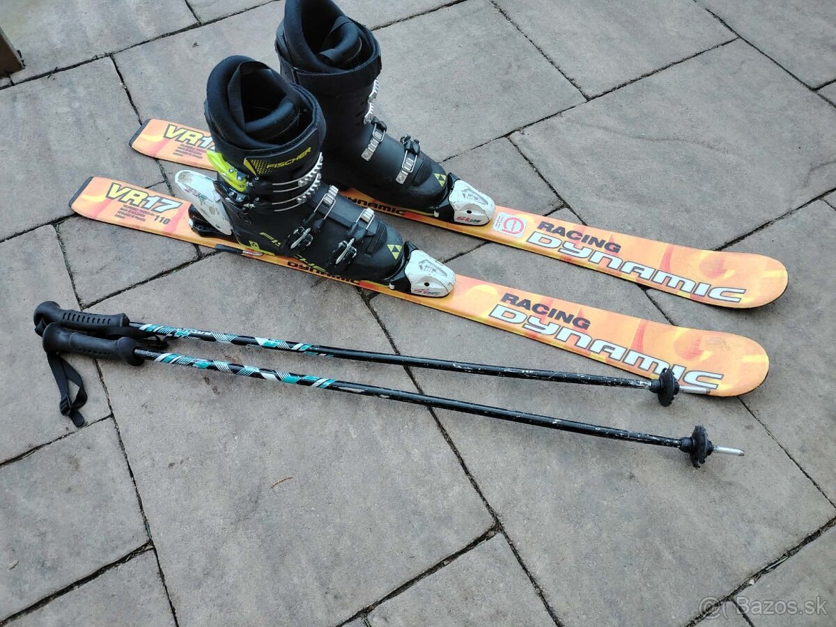 Lyžiarske palice - 2