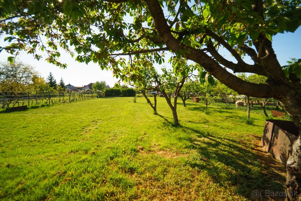 5-izbový rodinný dom vo Vrábľoch na predaj - 2