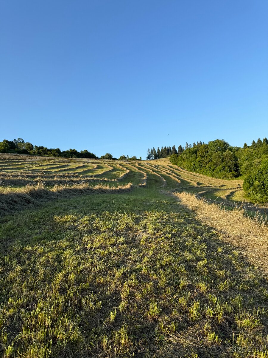 Ponúkam na predaj seno - 2