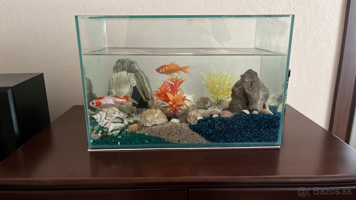 Akvárium + príslušenstvo - 2