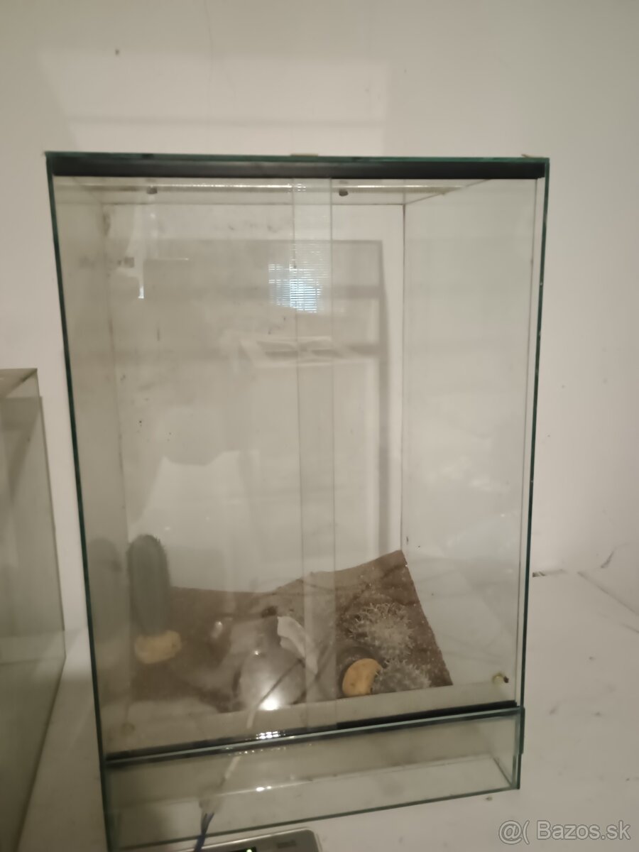 Predam teraria - 2