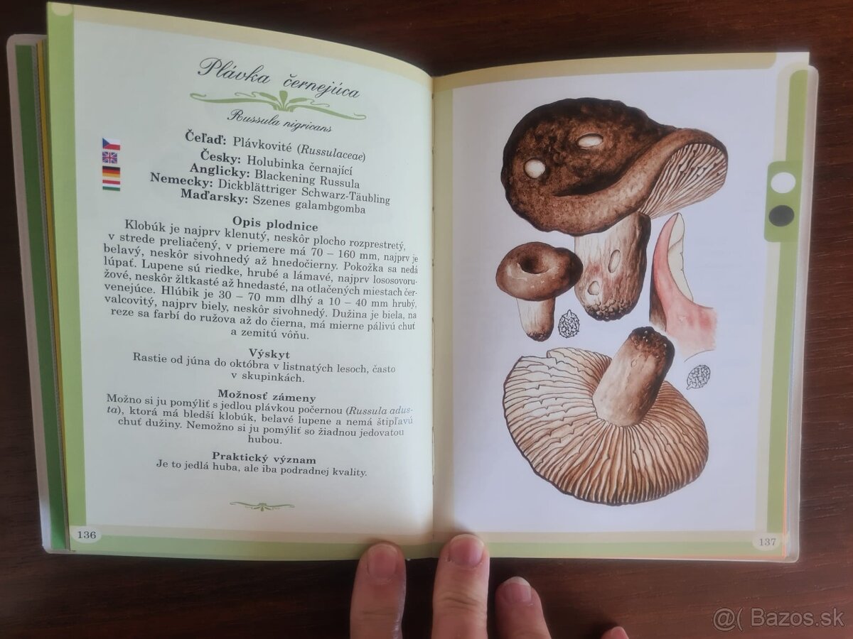 Isabella Borja: HUBY ročných období - 2