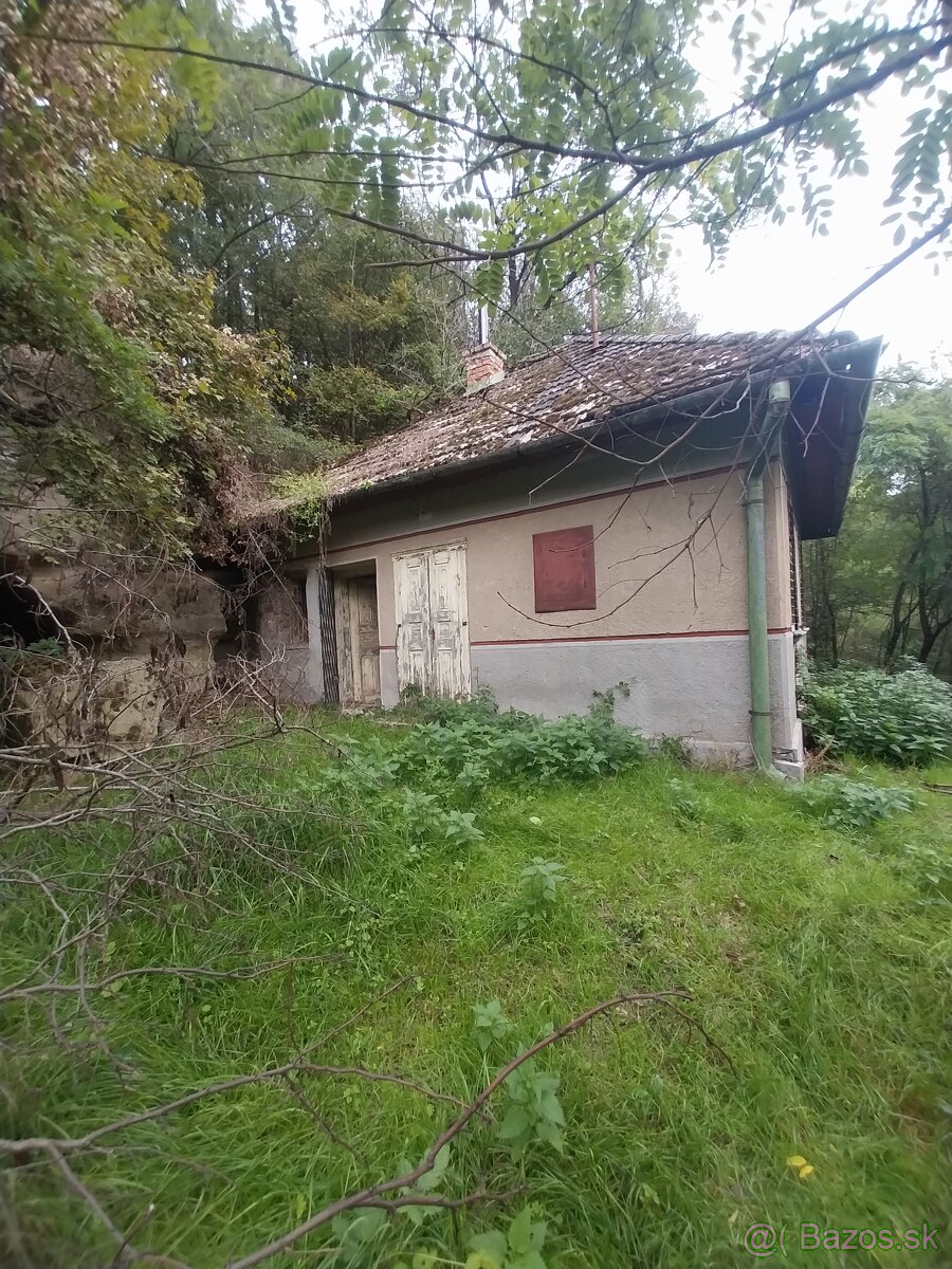 Predaj dom/chalupa na samote v lese - 2