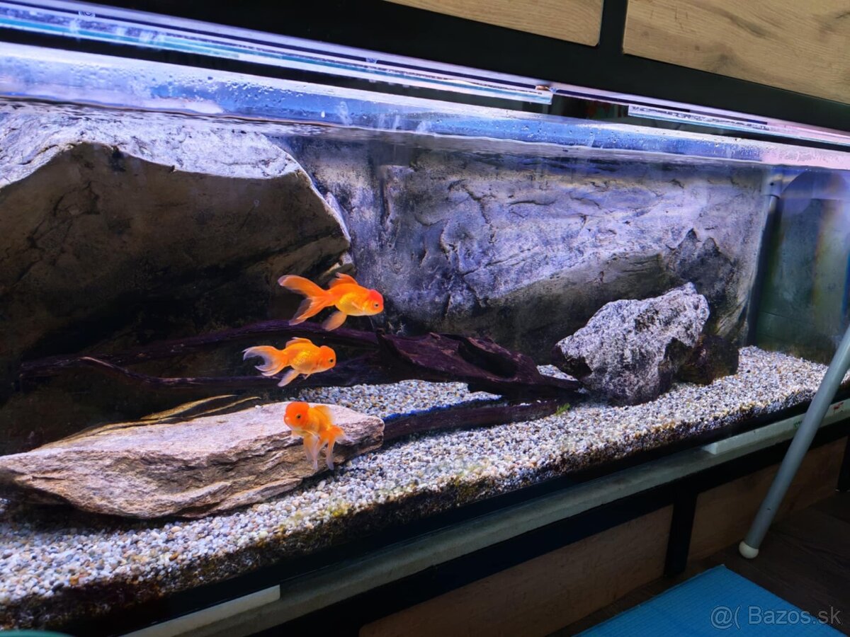 Akvárium 171 d x 52 š x 48 v - 2