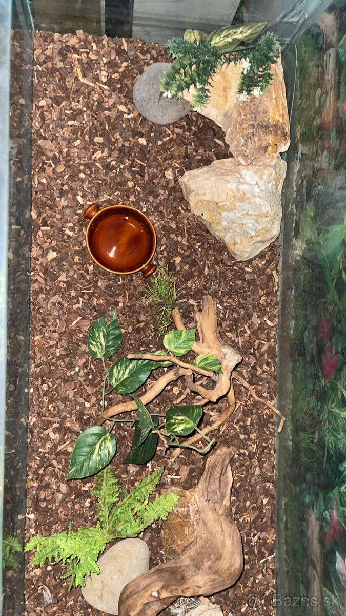 Predám terárium - 2