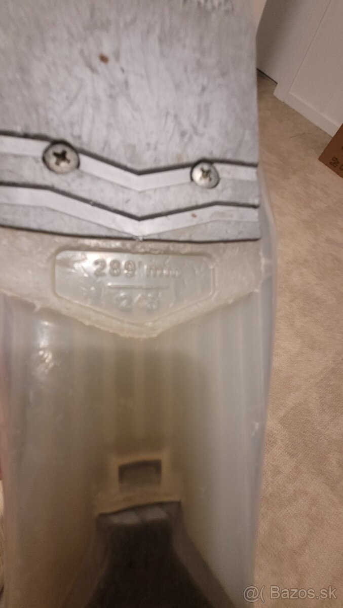 Juniorksé lyžiarky - 2