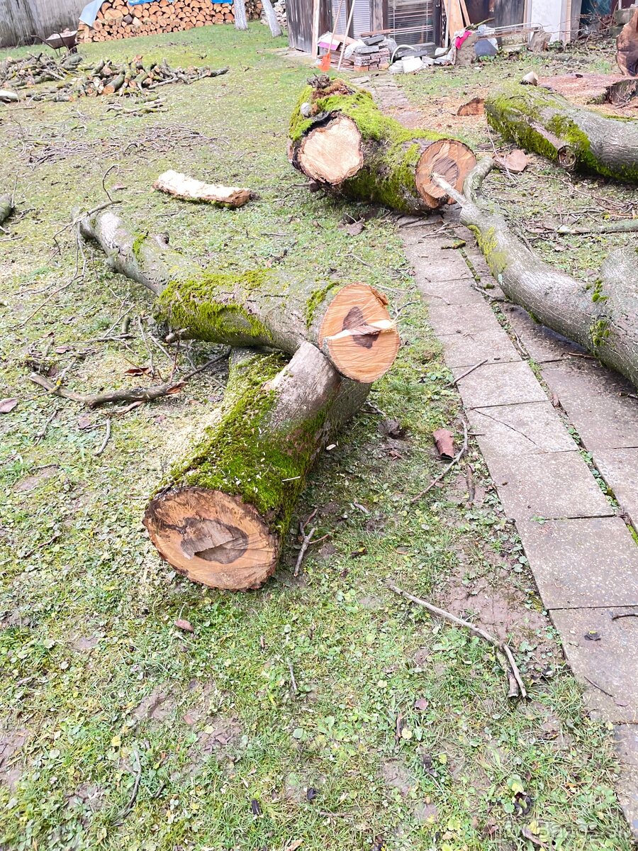 Predám orechové drevo - 2