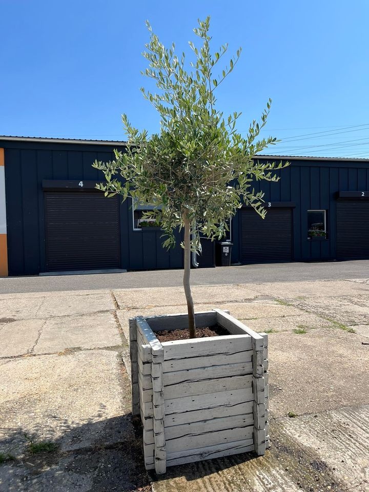 Betónový kvetináč - 2