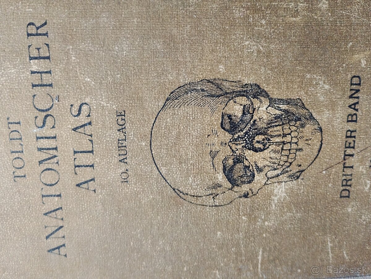 Atlas_Ľudskeho tela_1919 - 2