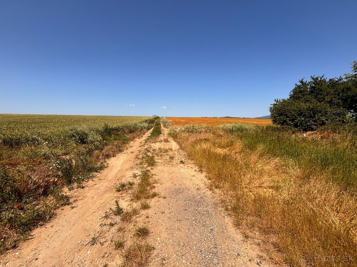 Pozemok pri Vrábľoch (k.ú: Vieska nad Žitavou ) na predaj - 2